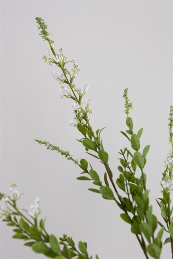 Artificial Plant | Hvid plante, White